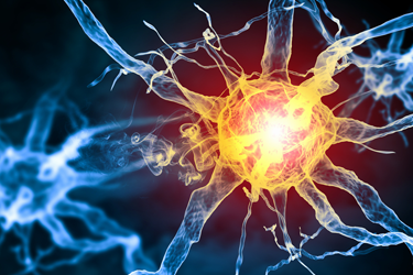 Graphic image of neurons.