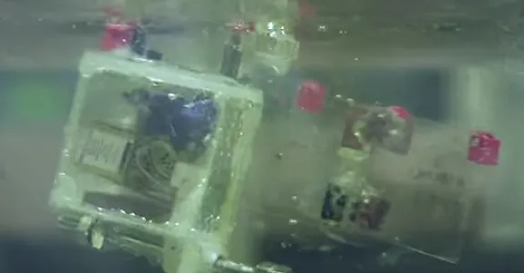 Photo of swimming robot.
