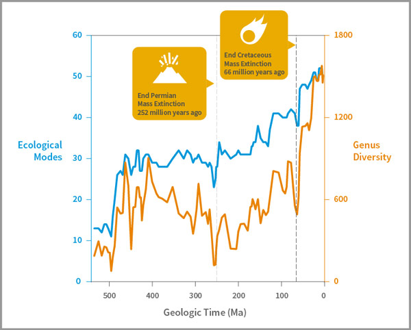 Infographic of mass extinctions.