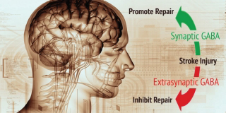 Art of brain.