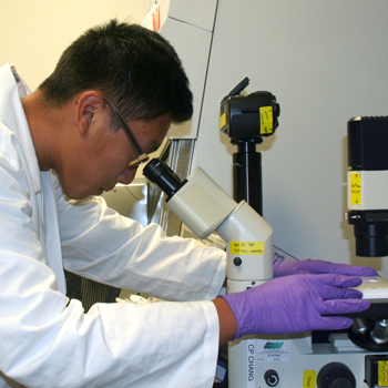 Photo of Brian Chu.