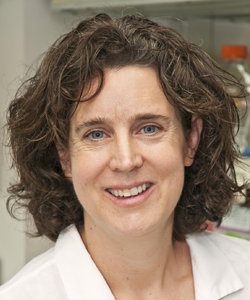 Photo of Dr. Catherine Blish.