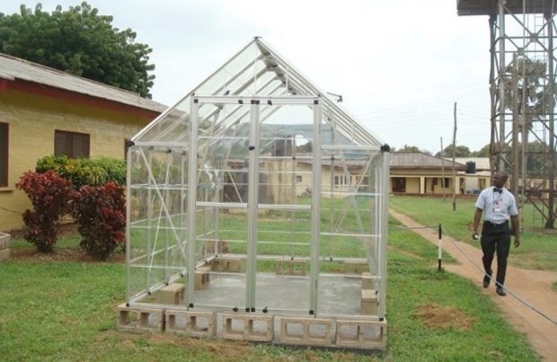 Photo of filtered sunlight greenhouse.