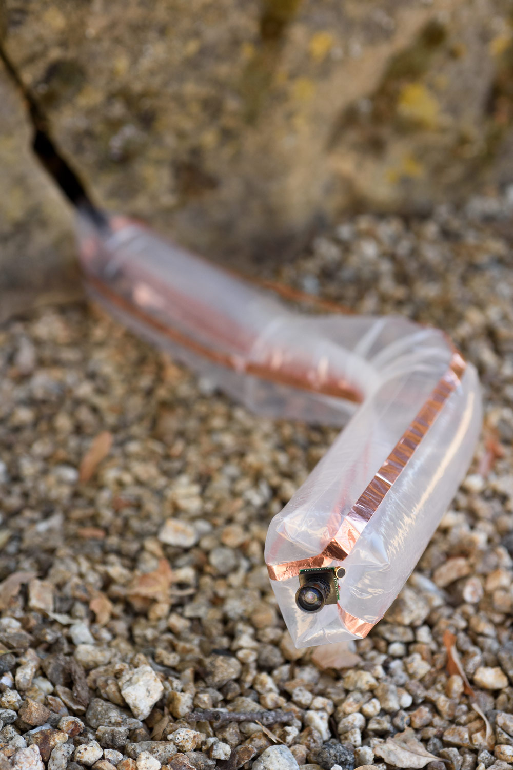 Vinebot device, which is made of translucent plastic resembling saran wrap with stripes of coppery material down its sides.