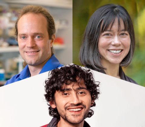 Composite image of the faculty PIs.