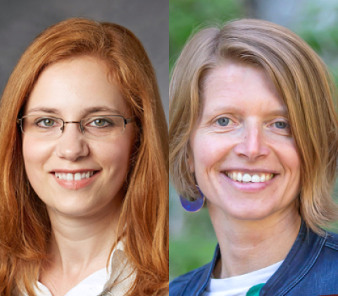 Composite image of the faculty PIs.