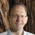Headshot portrait of Lambertus Hesselink - Professor of Electrical Engineering and (by courtesy) of Applied Physics