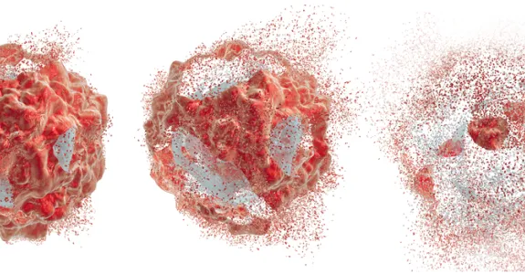 Graphic image showing a cell three times, with more of the cell's material having disintegrated in each iteration, to represent cell death.