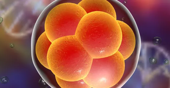 Graphic image of cells.