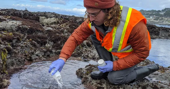 Photo of a graduate student wearing an orange safety vest and a beanie, pouring water from a white container into a tidepool at the beach.