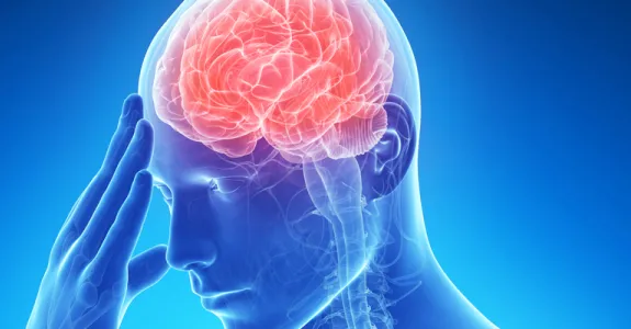 Graphic image of brain.