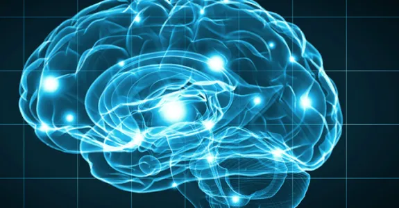 Graphic image of activity in brain.