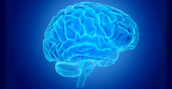 Graphic image of brain.
