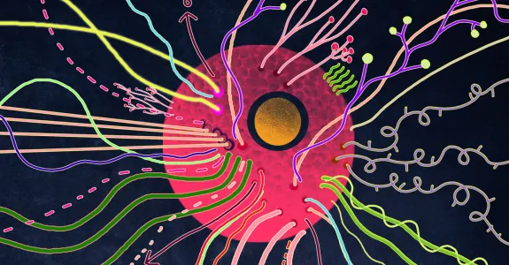 Illustration of a pink cell with colorful lines coming out of it in all directions.
