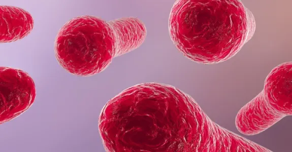 Graphic image of C. difficile pathogen.