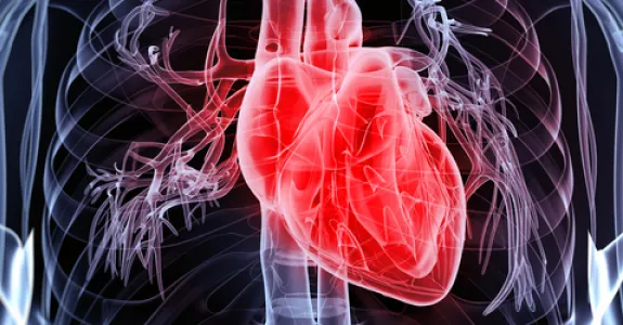 Graphic image of human heart.