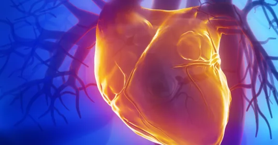 Graphic image of human heart.