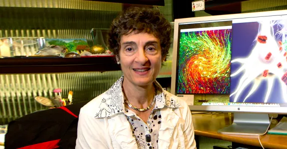 Photo of Dr. Carla Shatz.