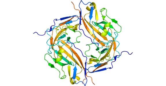 Graphic depiction of CD47 protein.