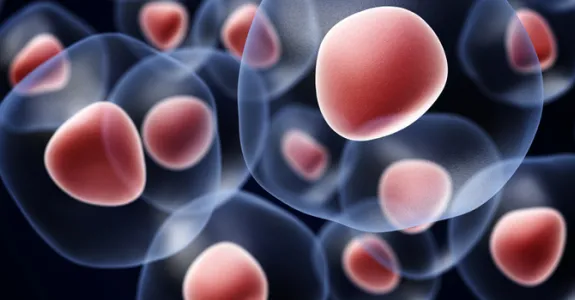 Graphic image of cells on a dark background with nuclei colored in pink.