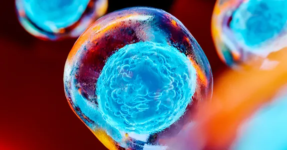 Graphic image of stem cells floating, with nuclei in bright blue.