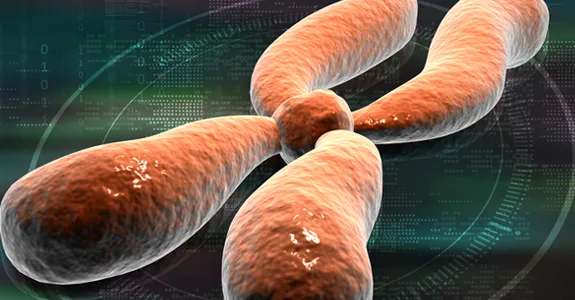 Graphic image of chromosome.