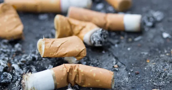 Photo of numerous cigarette butts on black pavement.