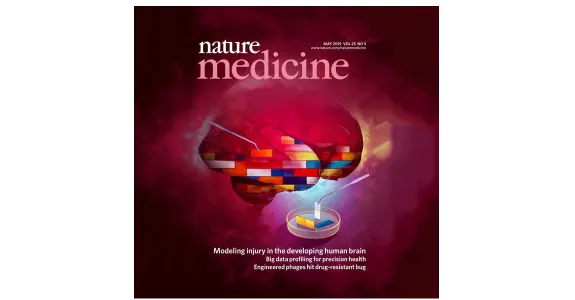 cover of Nature Medicine journal showing a brain made of brick-like building blocks