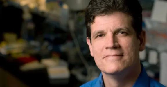 Photo of Dr. Dean Felsher.