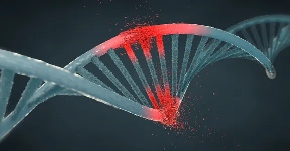 Graphic illustration showing a helix of DNA where several pieces have been damaged and are crumbling, depicted in red.