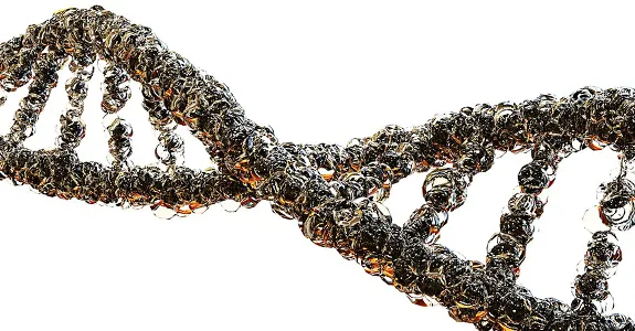 Graphic image of a DNA double helix on a white background.