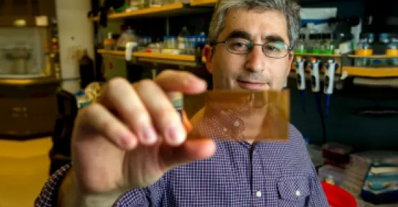 Photo of Dr. Brian Feldman