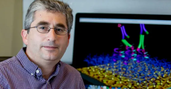 Photo of Dr. Brian Feldman.