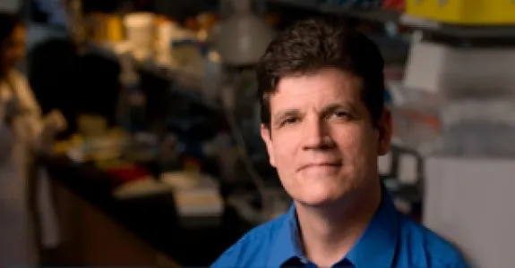Photo of Dr. Felsher.