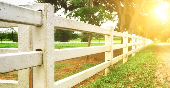 Photo of white fence going off into the distance along a path.
