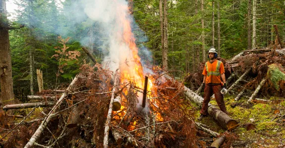 Stock photo outdoors of a man wearing safety equipment standing next to a large fire of stacked trees, with a forest in the background.