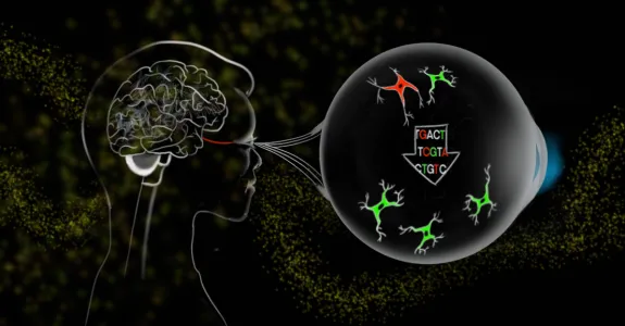 3D scientific illustration depicting a person in profile with their brain showing, with an elarged image of their eye with floating astrocyte-shaped cells and an arrow with DNA code letters.