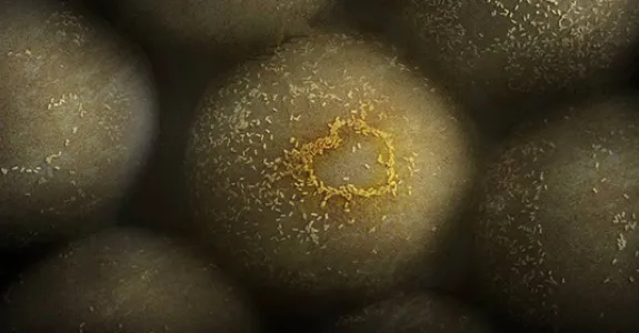 Minuscule gold nanoparticles glom onto and help identify tumor cells.