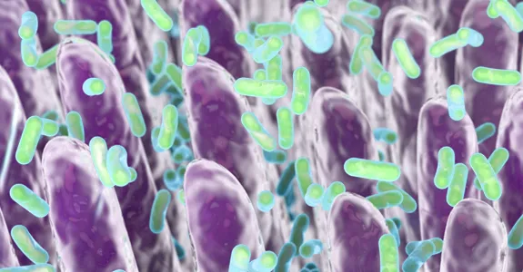 Graphic image of intestinal cells and bacteria moving around them.