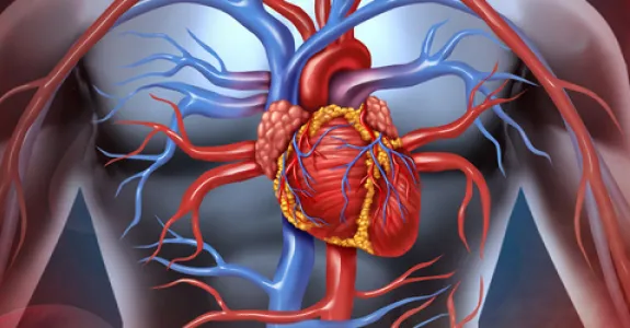 Graphic image of heart and arteries.