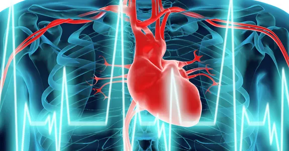 Graphic illustration showing a cross-section of a human body, with a heart lit in red and a blue line of a heartbeat across.