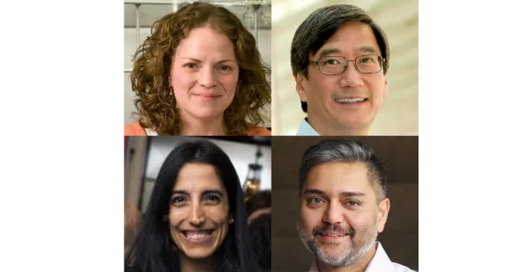 Collage of headshot photos of the 4 faculty who received awards: Drs. Annelise Barron, Peter S. Kim, Keren Haroush, and Siddhartha Jaiswal.
