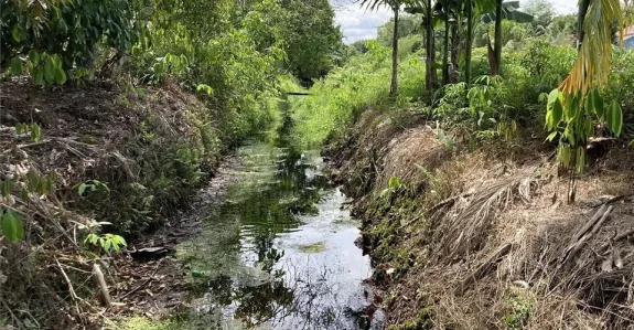 Photo of a canal with water in it, cut thorugh jungle area with some houses in the background.