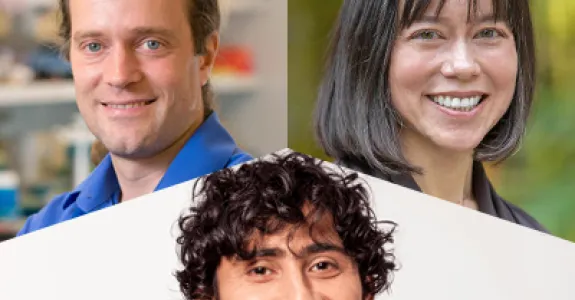 Composite image of the faculty PIs.