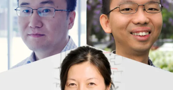 Collage of headshot photos of Bo Wang, Xiaojing Gao, and Alice Ting.