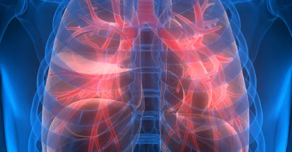 Graphic image of human lungs.