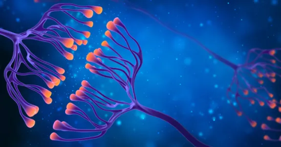 Graphic image depicting synapses in the brain, showing their branches in purple with lit-up orange tips on a blue background.