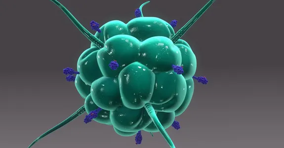 Graphic illustration of a teal green macophage with blue receptors.