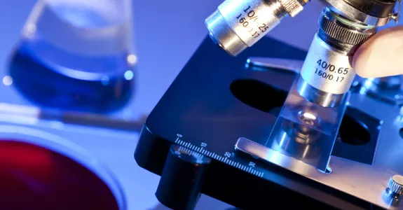 Photo of laboratory table with microscope and petri dish.