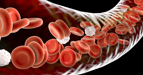 Graphic image of blood vessel with cells flowing through.